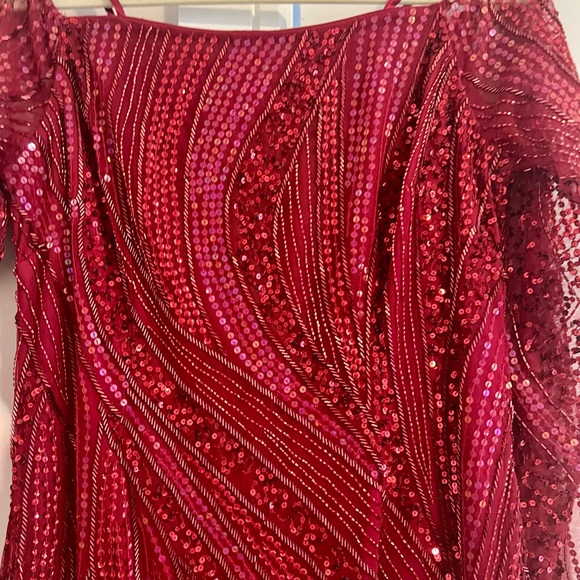 Gorgeous Adrianna Papell designer gown cranberry color beaded size 12 - Picture 4 of 7